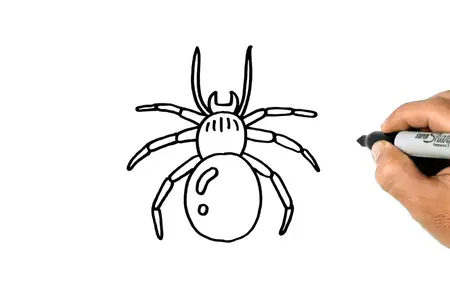 How to get rid of spiders