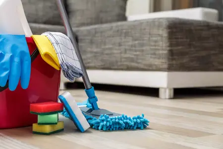 How to Clean Your House Like a Pro