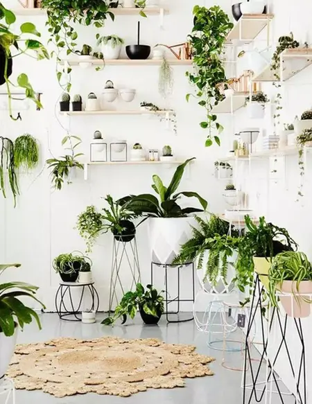 How to Decorate Your Home with Plants for a Greener Space