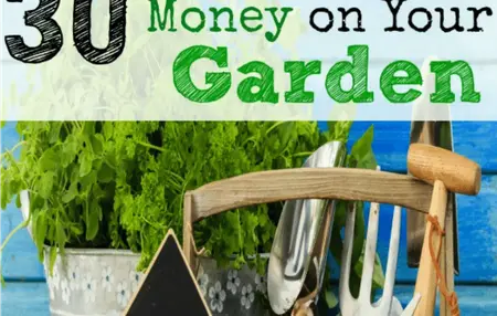 How to Save Money on Gardening