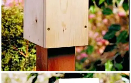 How to Make a DIY Birdhouse
