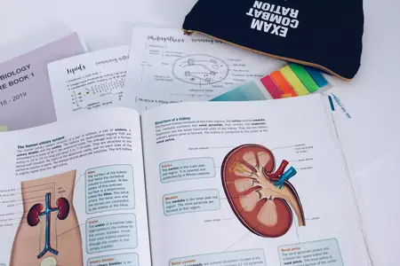 How to Learn About Biology