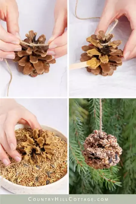How to Make a Pinecone Bird Feeder