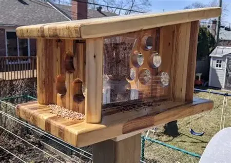 How to Make a Bird Feeder