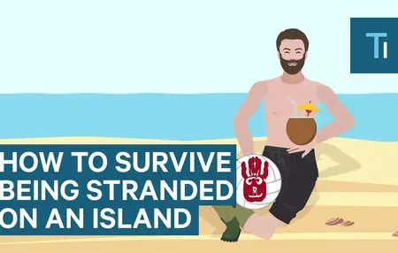 How to Survive on a Desert Island