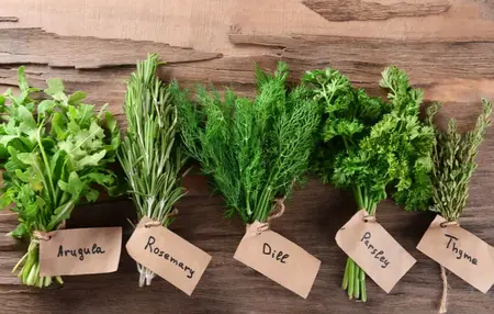 How to Cook with Herbs