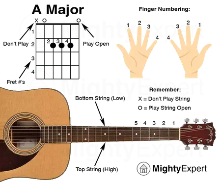How to Learn to Play the Guitar (for Beginners)