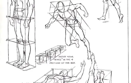 How to Draw a Human Figure