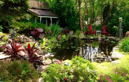 How to Create a Wildlife Garden