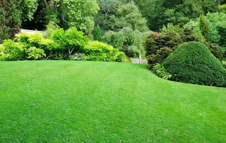 How to Care for Your Lawn