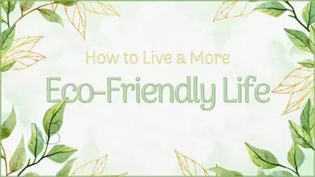 How to Live a More Eco-Friendly Life