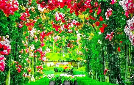 How to Create a Beautiful Garden