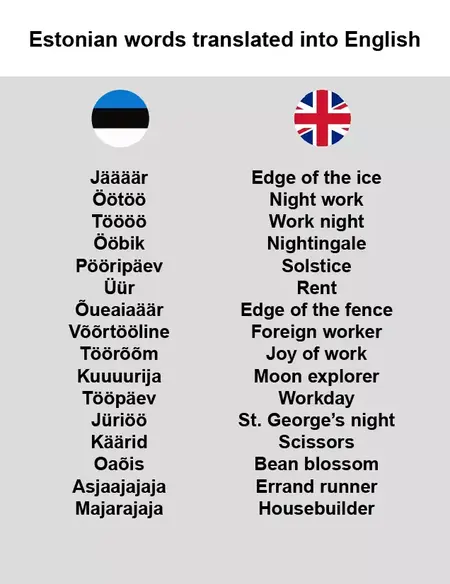 How to Learn to Speak Estonian