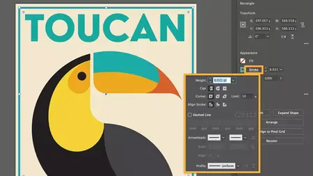 How to Use Adobe Illustrator