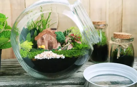 How to Make a Simple Terrarium