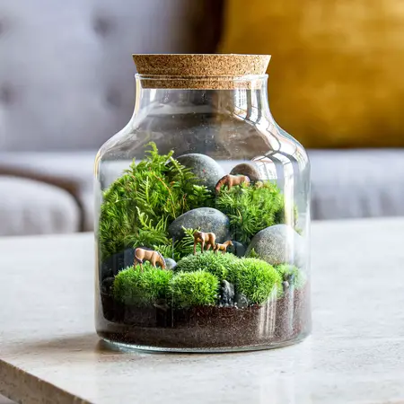 How to Make a Terrarium Garden