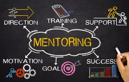 How to Find a Mentor