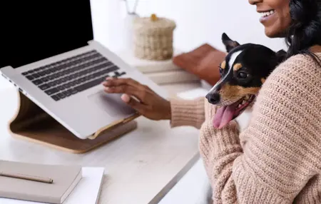 How to Start a Pet Blog