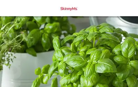 How to Start an Indoor Herb Garden