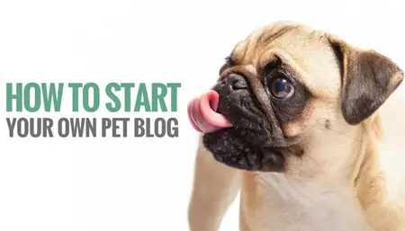 How to Start a Pet Blog