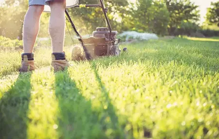 How to Take Care of Your Lawn