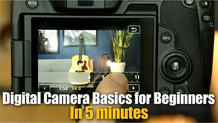 How to Use a Digital Camera for Beginners