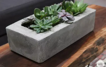 How to Make a Concrete Planter