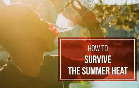 How to survive summer