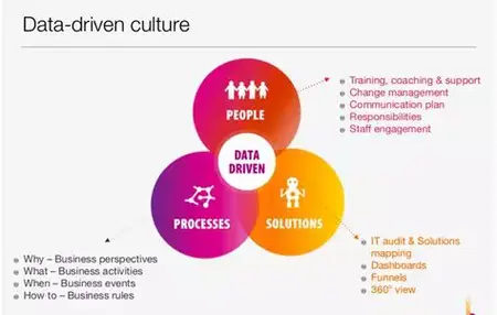 How to Create a Data-Driven Culture in Your Organization