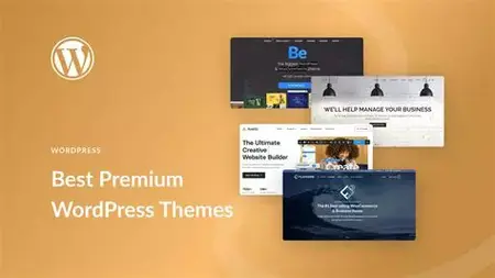 How to Use a WordPress Theme