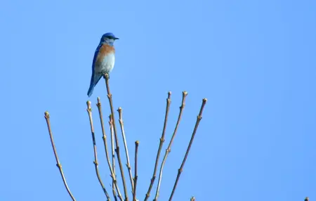 How to Use Twitter for Personal Use