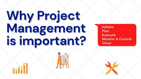 How to Use a Project Management Tool
