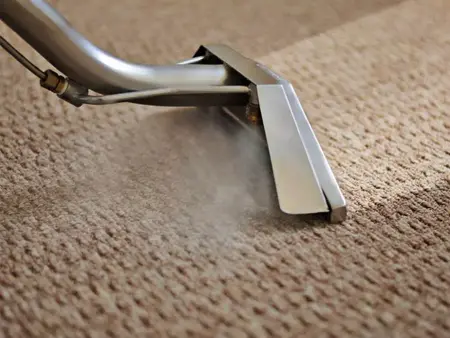 How to Clean Your Carpet