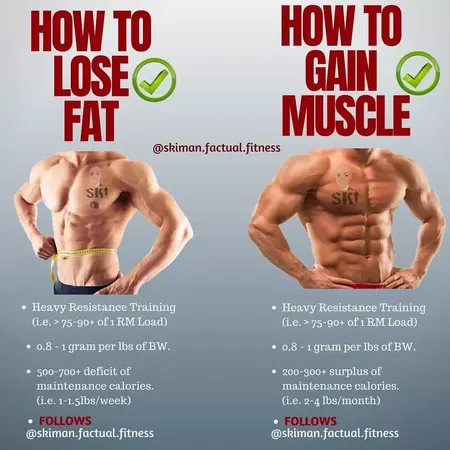 How to Lose Fat