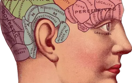 How to Improve Your Mental Focus