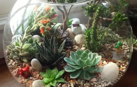 How to Make a DIY Terrarium