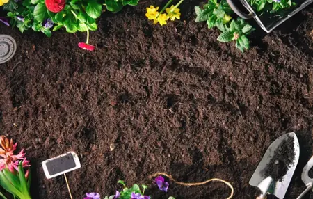 How to Choose the Right Soil for Your Garden