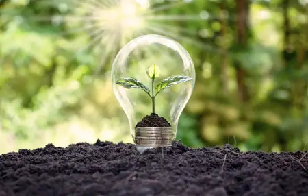 How to Be More Eco-Friendly