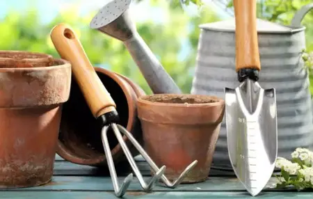 How to Choose the Right Gardening Tools