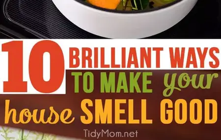 How to Make your house smell nice