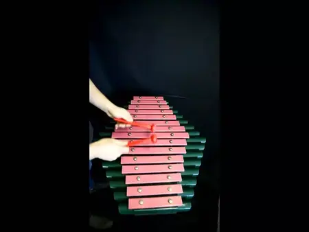 How to Learn to Play the Sansa