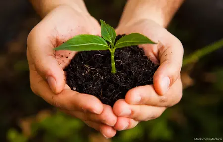 How to Develop a Growth Mindset