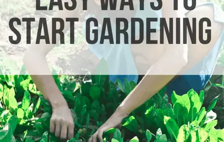 How to Get Started with Gardening