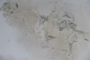 Dinding Lembap Berjamur? 5 Tips Atasi di Musim Hujan!