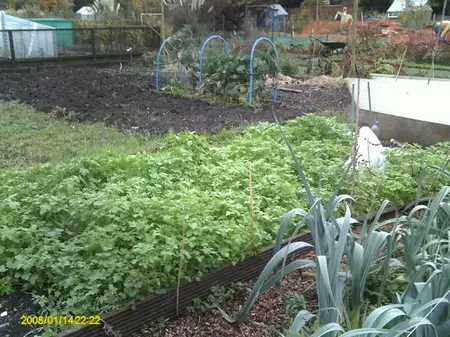 How to Be More Self-Reliant