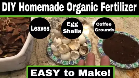 How to Make Your Own Natural Fertilizer