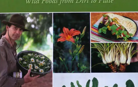 How to Identify Edible Wild Plants