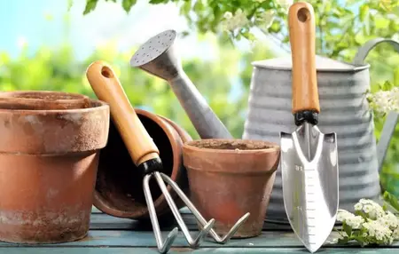How to Choose the Right Tools for Your Garden