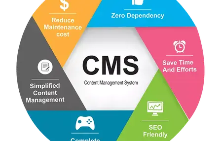How to Learn to Use a Content Management System