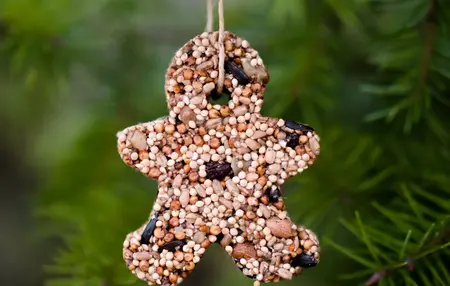 How to Make Your Own Birdseed